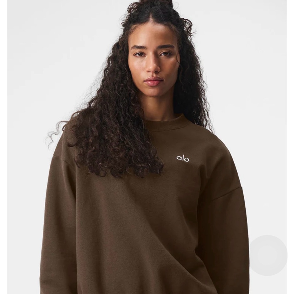 ALO Yoga Brown Crew Neck Sweater Relaxed Fit